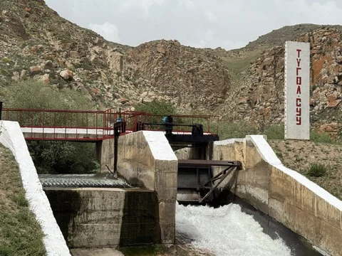 f63d7702-bdb4-44a5-b0c3-5fd440d796e2.jpeg