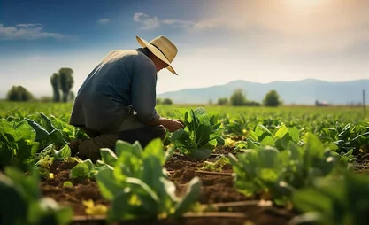 farmer-vibrant-field-gathering-fresh-produce_768772-901.avif