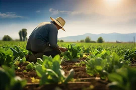 farmer-vibrant-field-gathering-fresh-produce_768772-901.avif