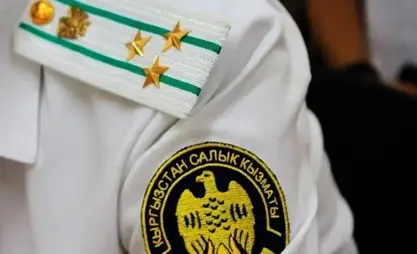 В Кыргызстане появится налоговая «полиция»