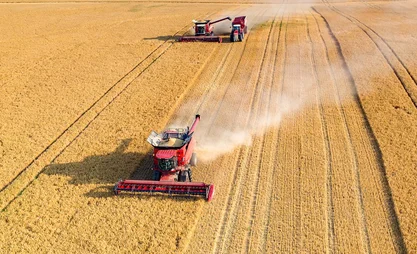 grains-2.jpg