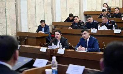 Комитет ЖК поддержал законопроект, направленный на борьбу с ОПГ