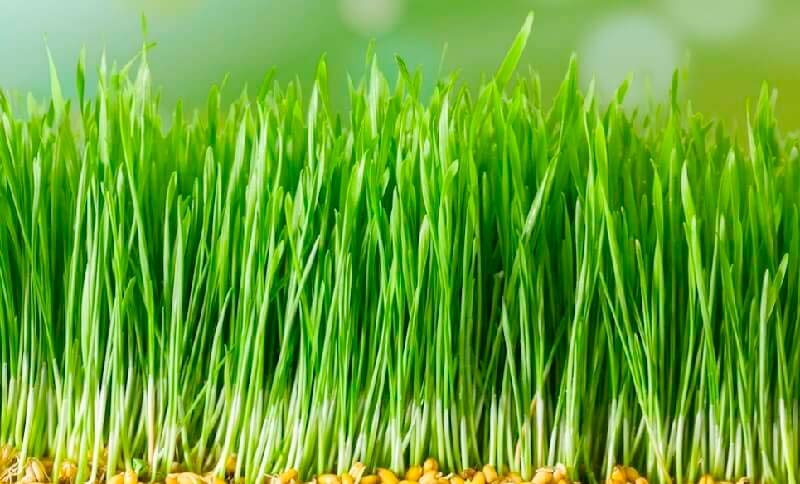 hd_ae5a747175a9b18a4c63d9bc59a0cf501