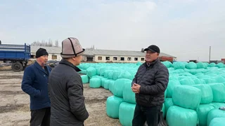 image-09-01-26-02-00-1 (1).jpeg