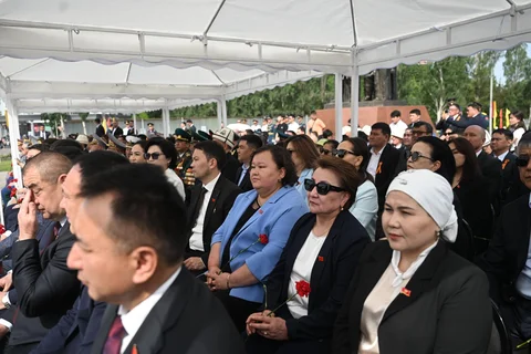 image13.jpg
