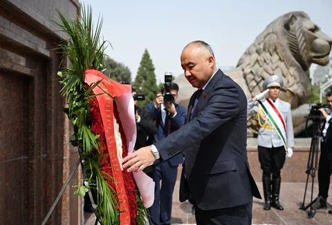 image6.jpg