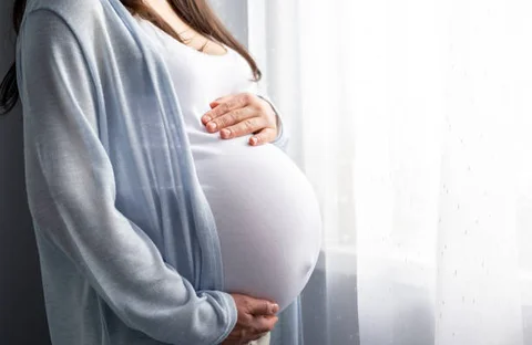 istockphoto-1323431279-612x612.jpg