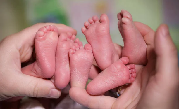 istockphoto-870034678-612x612.jpg