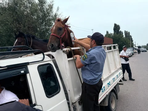 канва.jpeg