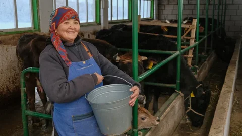 kg-dairy-project-5-1200x675.webp