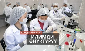 курултай 1.webp