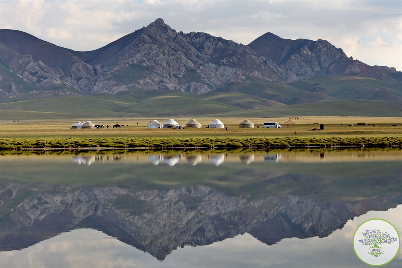 locat_son_kul-39.webp