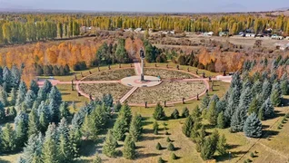 manas-ordo-complex.webp