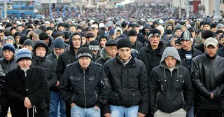 migranty-5.webp