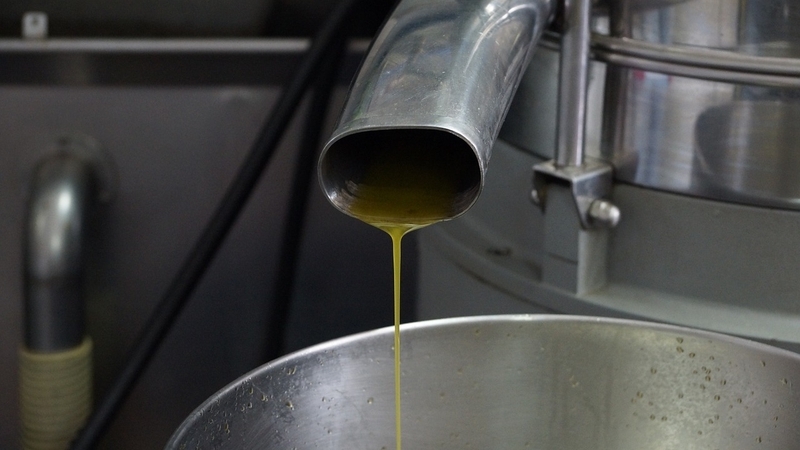 oil-zavod.width-800.jpg