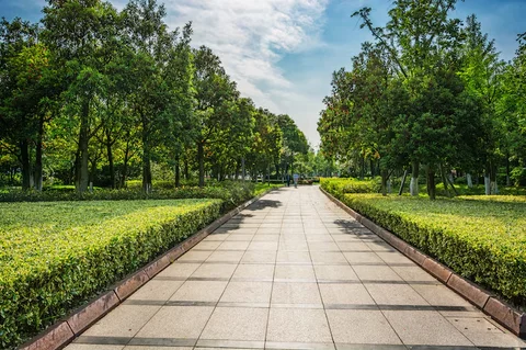 park_1127-3335.avif