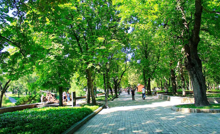 people-having-rest-city-park-with-big-trees-city-park-walking-along-beautiful-city-park-couple-vacation-summer-holidays-family-vacation-travel-concept_929087-7955.avif