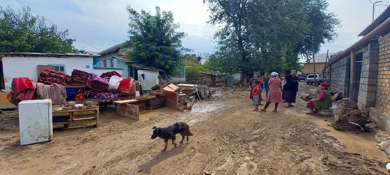 photo5211087905206940255