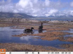 photo_5217929929847152673_y.jpg