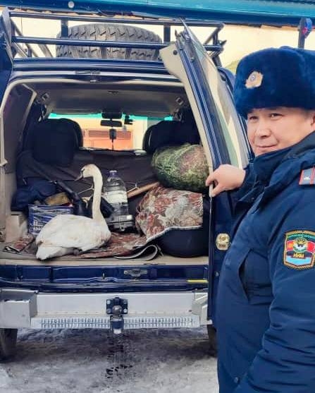 photo_5220090766544726675_x