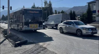 photo_5282838091259387297_y.jpg