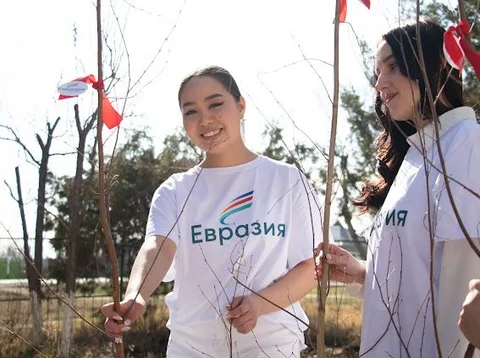 посадка деревьев 9.jpeg