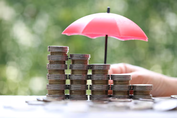protection-stack-coins-money-with-umbrella-nat.width-800