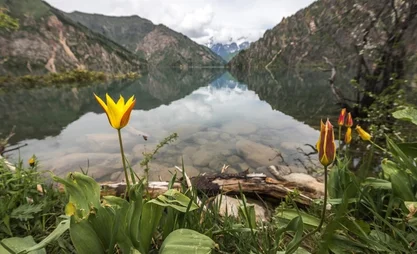 sarycheleklake.jpg