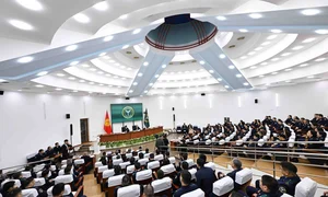 шаблон - 2026-01-30T131105.407.png