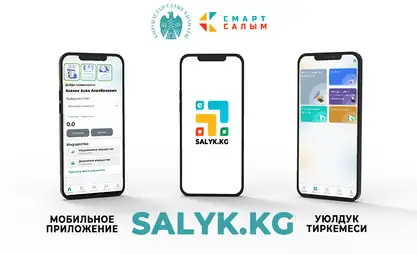Налоговая запустила мобильное приложение Salyk.kg