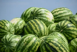 tz3t89ujk6ykibpo49pchxtjxqgxyb9c.webp