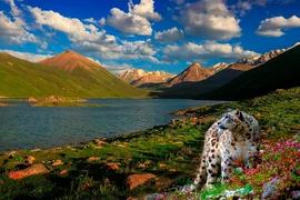 undp-kg-env-ctf-2025.jpg