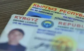 водительские права.webp