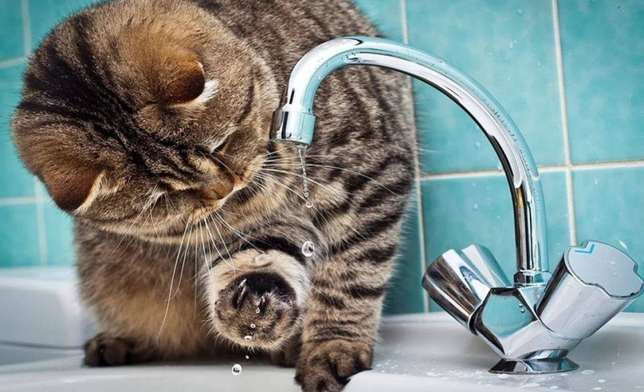 water.jpg