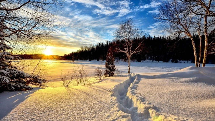 winter-landscape.width-800.jpg