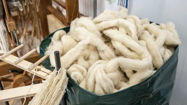 wool.webp